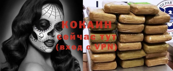 гашик Арсеньев