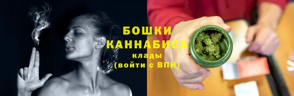 гашик Арсеньев
