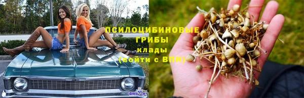a pvp Аркадак