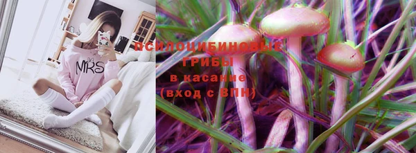 гашик Арсеньев