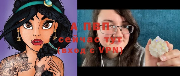 гашик Арсеньев