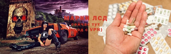 a pvp Аркадак